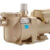 MOTOBOMBA SUPERFLO VS 115V/230V